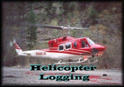 Helicopter Logging Picture Gallery