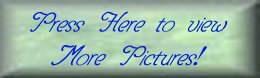 Press here to view more pictures!